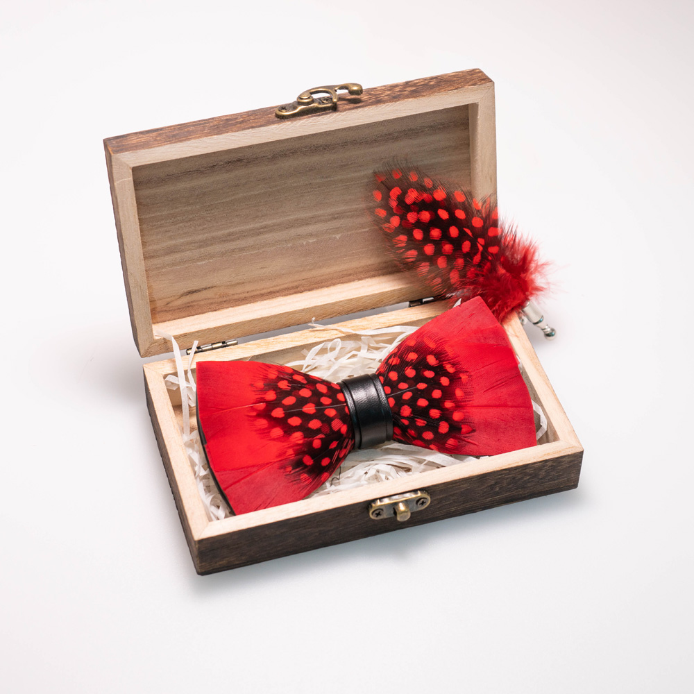 EASTEPIC Handgemaakte Veer Str - Neck Tie Set Box recensie en prijs
